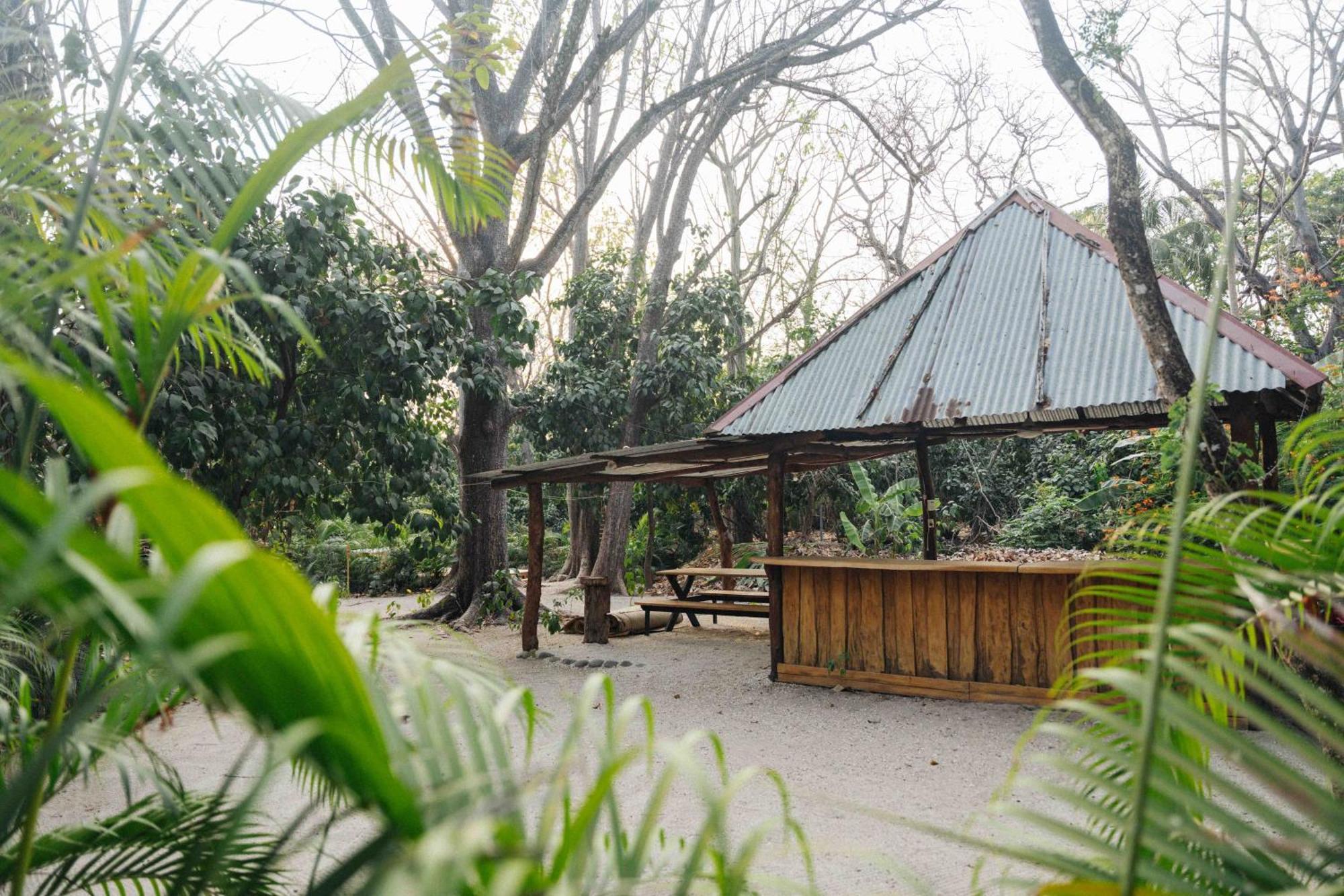 Zeneidas Surf Garden Playa Santa Teresa  Екстер'єр фото